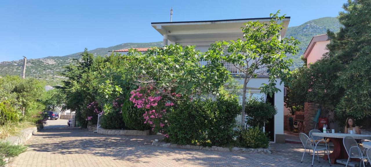 Resort Haus Toma Cesarica Dış mekan fotoğraf