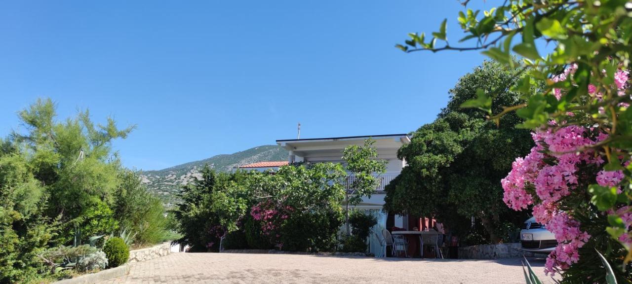 Resort Haus Toma Cesarica Dış mekan fotoğraf