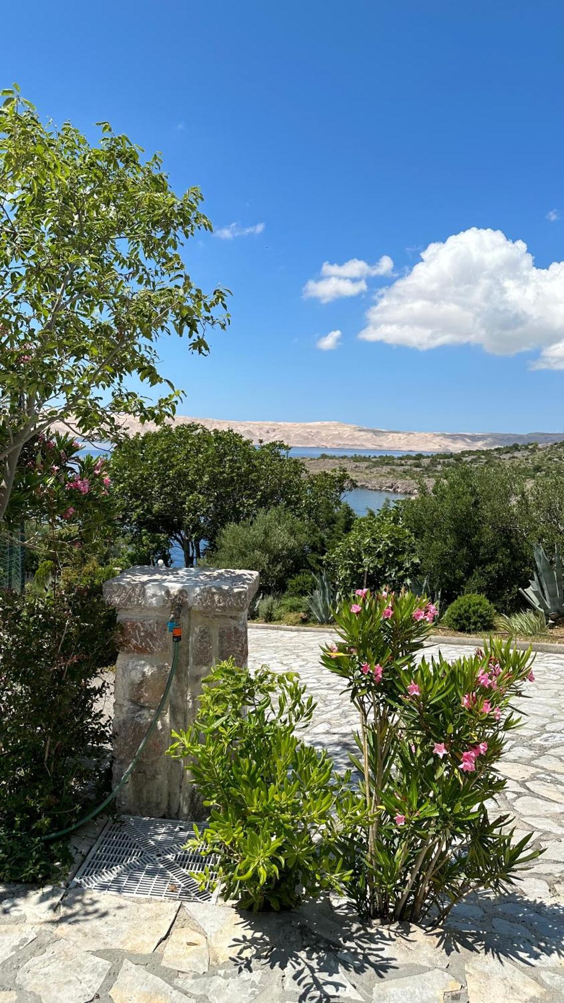 Resort Haus Toma Cesarica Dış mekan fotoğraf