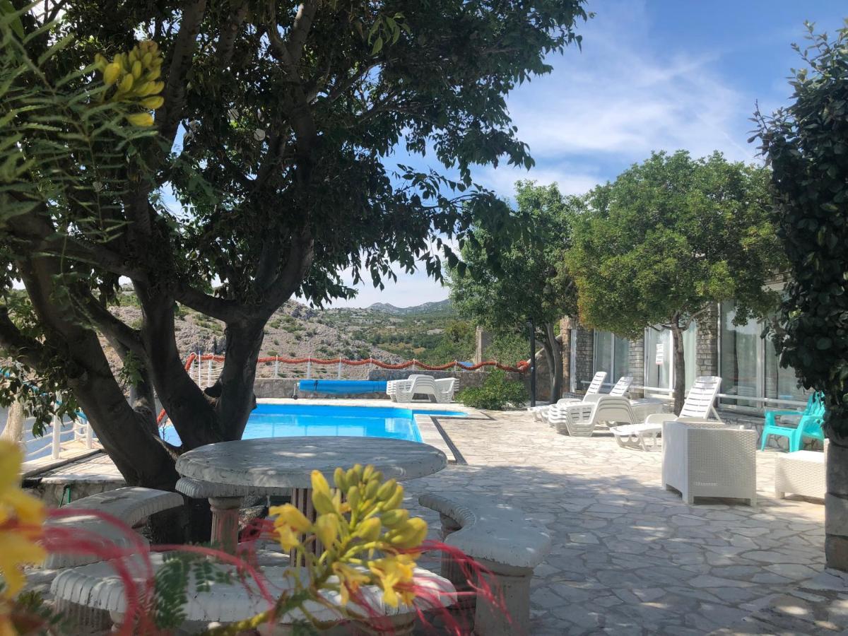 Resort Haus Toma Cesarica Dış mekan fotoğraf