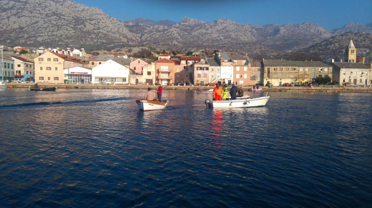 Resort Haus Toma Cesarica Dış mekan fotoğraf
