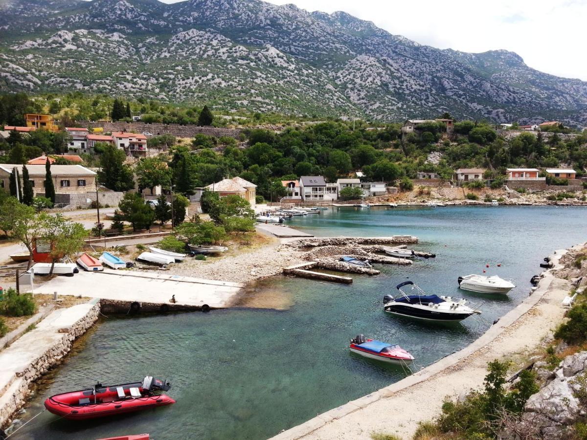 Resort Haus Toma Cesarica Dış mekan fotoğraf