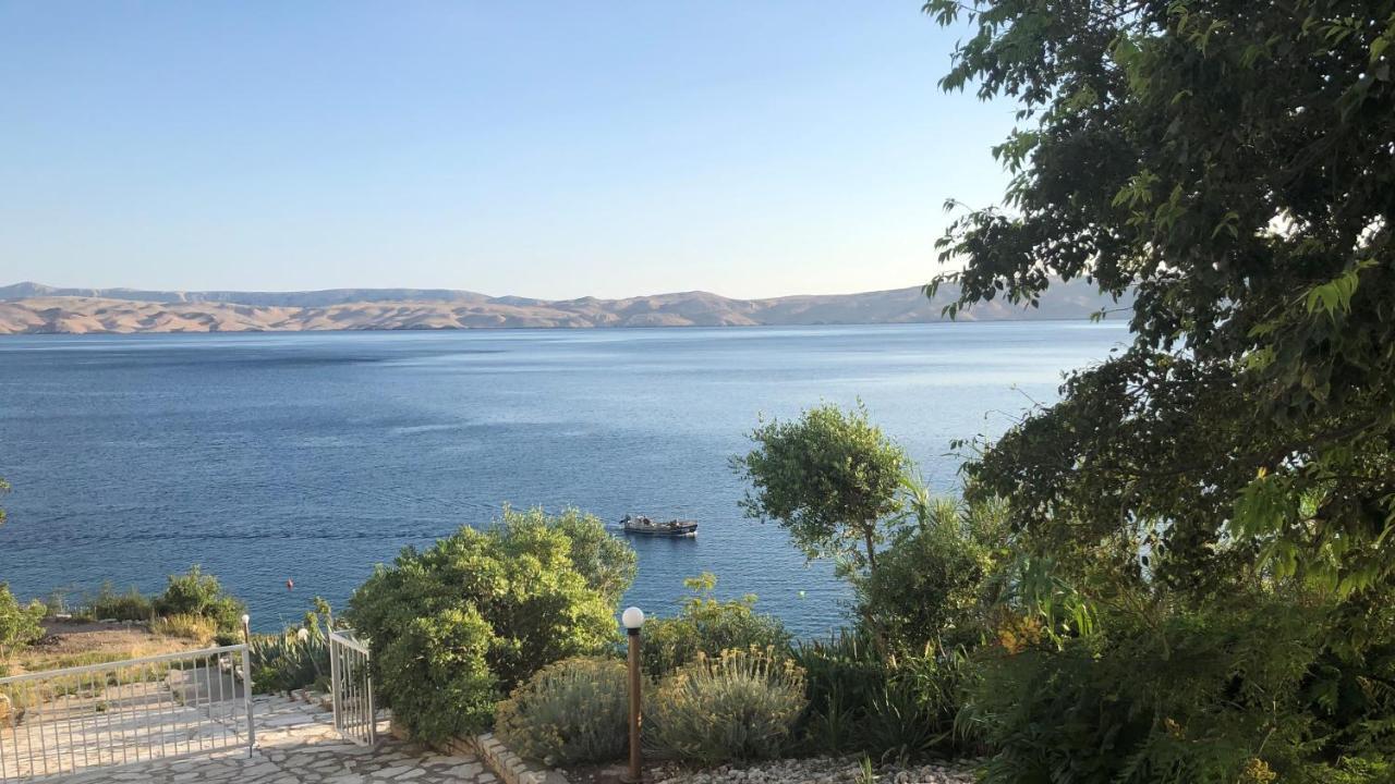 Resort Haus Toma Cesarica Dış mekan fotoğraf