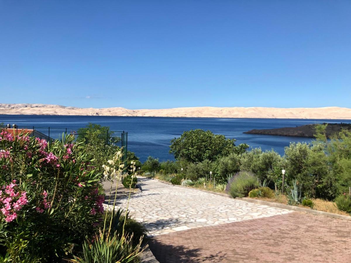 Resort Haus Toma Cesarica Dış mekan fotoğraf