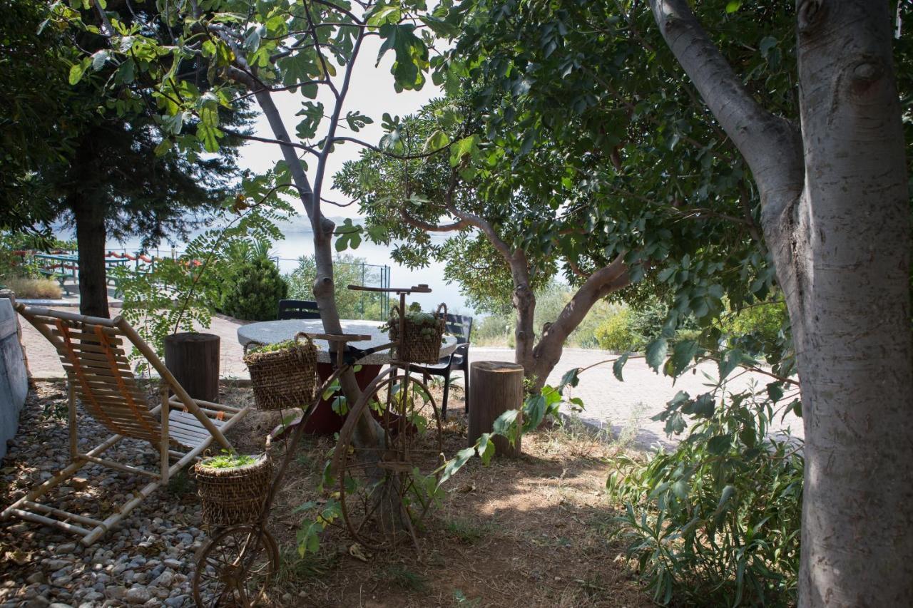 Resort Haus Toma Cesarica Dış mekan fotoğraf