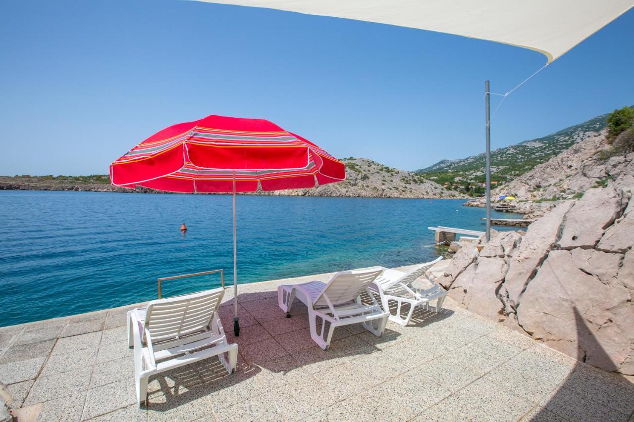 Resort Haus Toma Cesarica Dış mekan fotoğraf